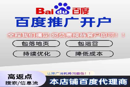 搜索引擎营销（SEM）成功运营的五大案例